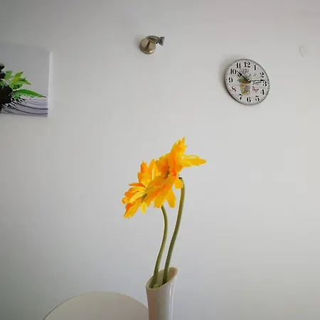 Apartment Sirius Rogoznica *